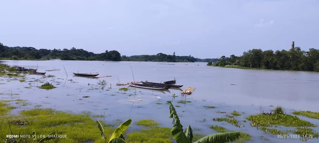 পূর্ণিমার জোঁ