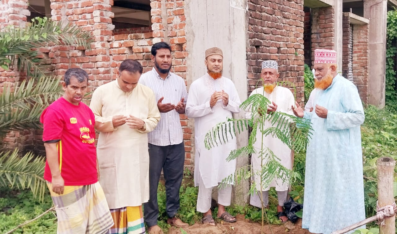 বেতাগী আনজুমানে রহমানিয়ার পরিবেশের সৌন্দর্য বর্ধনে বৃক্ষরোপন কর্মসূচী