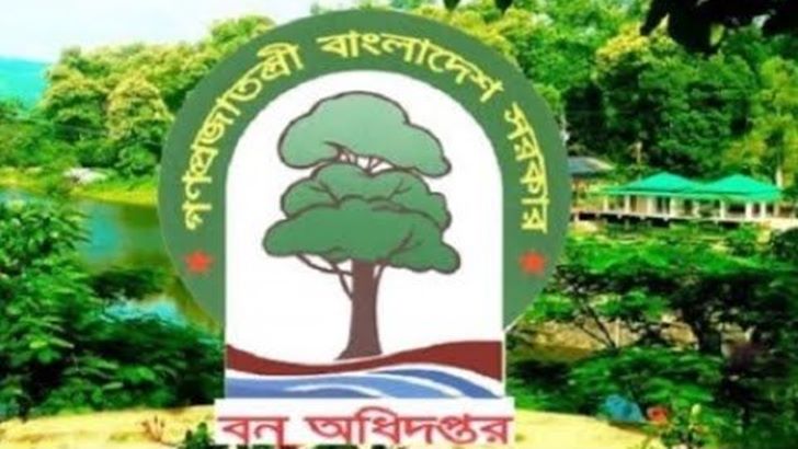 বন অধিদফতরের ‘সুফল’ প্রকল্পে দুর্নীতির অভিযোগ, অনুসন্ধানে দুদক