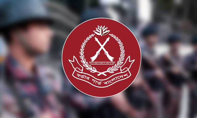 আইনশৃঙ্খলা রক্ষায় ১২ প্লাটুন বিজিবি মোতায়েন