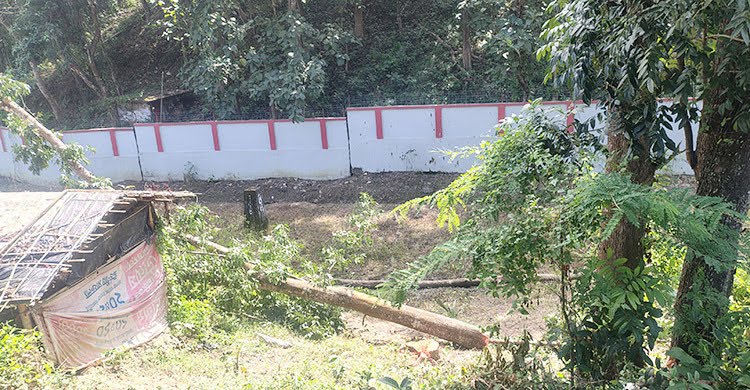 বান্দরবানে সওজের ৫০ লাখ টাকার সরকারি গাছ কাটার অভিযোগ