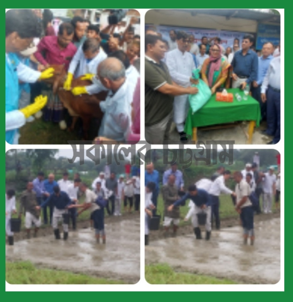 ১৫ দিনের মধ্যে শতভাগ গবাদি পশুর টিকা, বন্যাকবলিত কৃষকদের ধানবীজ-চারা দেবে সরকার-আমিন উর রশিদ